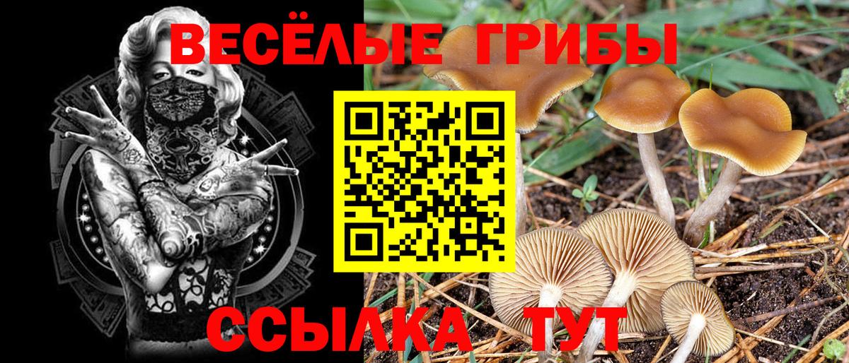 Псилоцибиновые грибы ЛСД Благовещенск