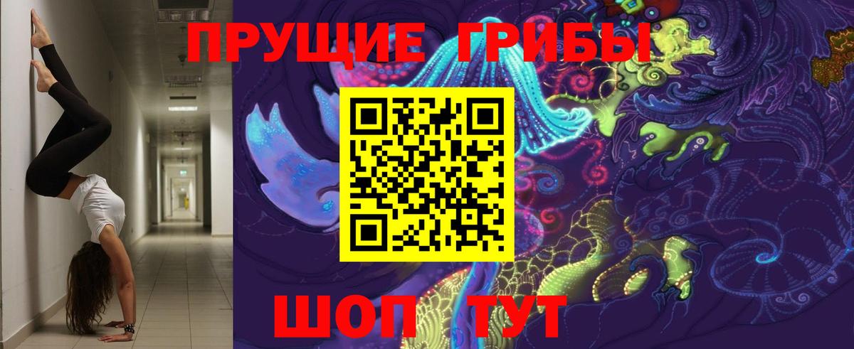 где найти наркотики  Вход с VPN  Благовещенск  Псилоцибиновые грибы MAGIC MUSHROOMS 